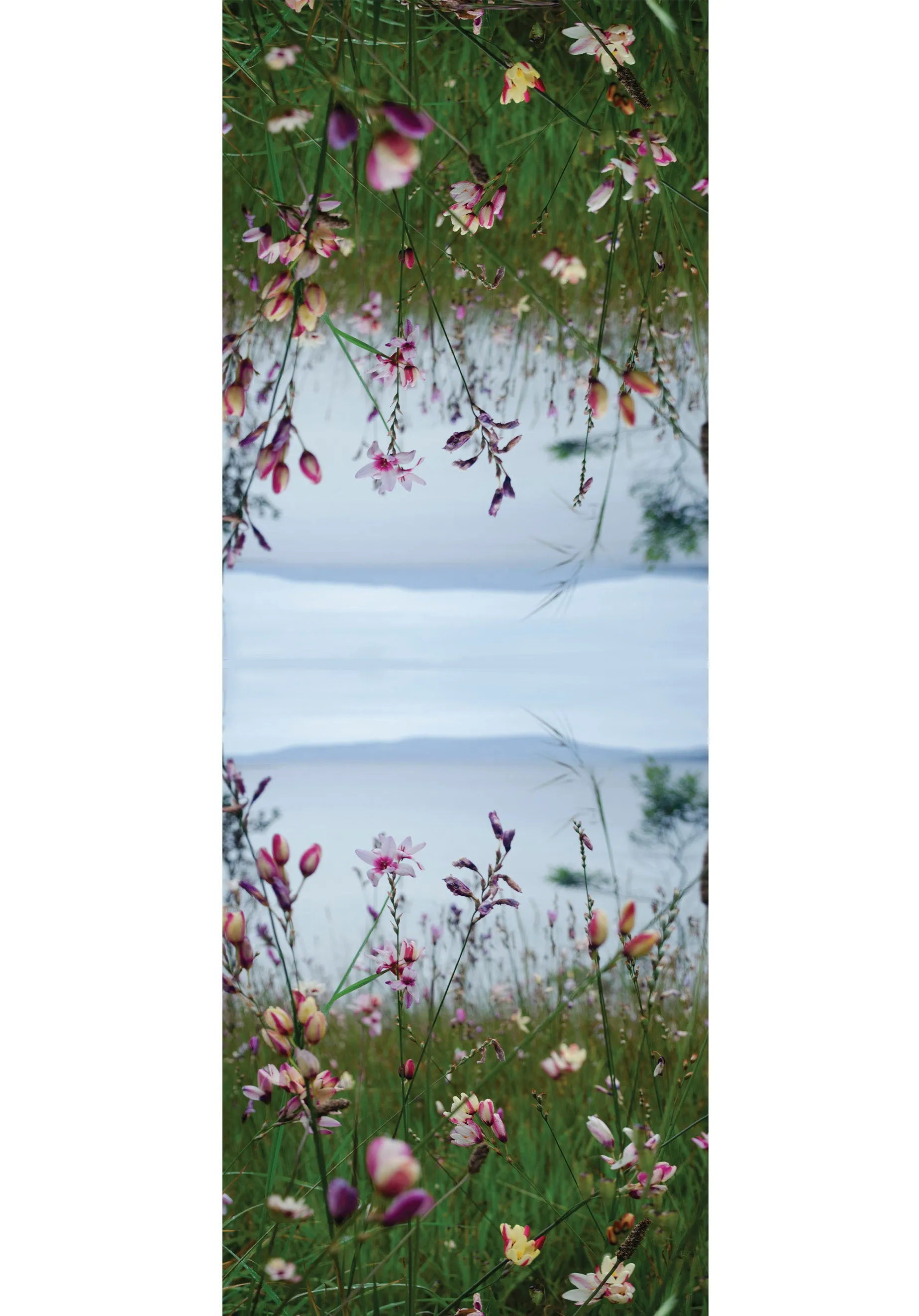 NORFOLK BAY CASHMERE & MODAL SCARF